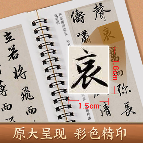 赵孟頫洛神赋近距离临摹字卡 碑帖 赵孟俯字帖行书毛笔字帖历代碑帖临摹本毛笔书法教程新华书店正版毛笔字初学入门赵孟俯洛神赋 - 图2