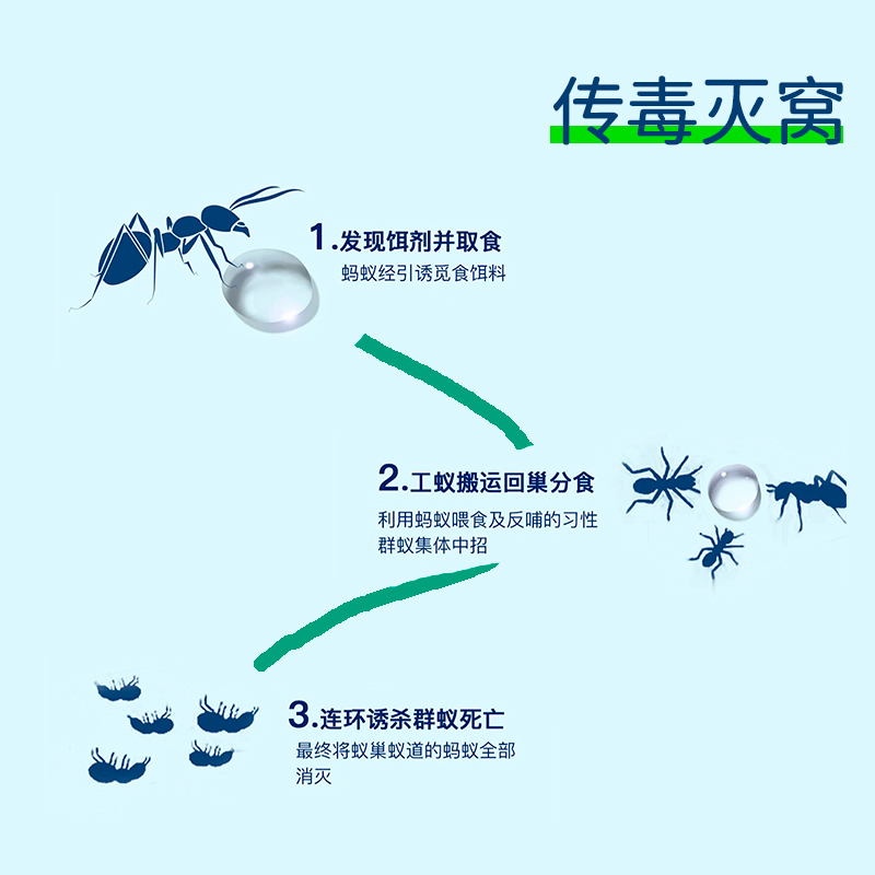 蚂蚁药小红蚂蚁灭杀饵剂家用非无毒室内蚂蚁杀虫剂红火蚁药全窝端 - 图0