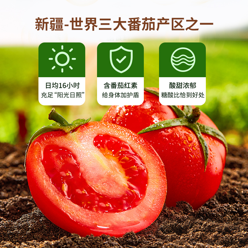 窝小芽婴幼儿番茄酱蕃茄酱宝宝家用添加专用无婴儿童幼儿辅食食谱,淘宝优惠券,粉丝福利购,淘宝优惠卷