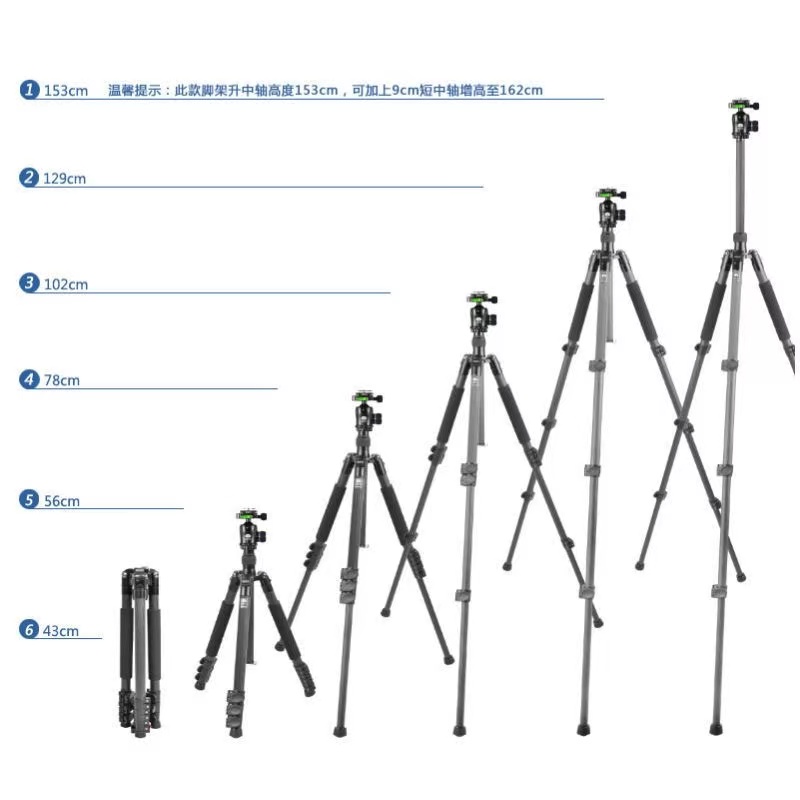 思锐ET2204+K20X 碳纤维三脚架套装 单反相机摄影便携碳素支架专业拍摄球形云台横竖拍 内置金属脚钉三角架