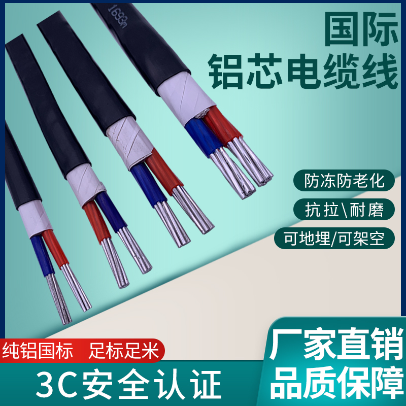 户外铝线2芯4 6 10 16 25 35平方三相四线架空地埋专用铠装电缆线 - 图2