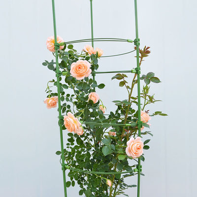 花盆托架花支架月季爬藤架子园艺花架室内花卉植物铁线莲攀爬支柱 虎窝淘
