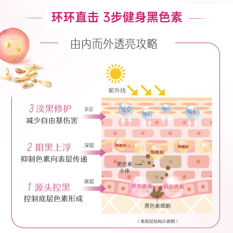swisse烟酰胺美白丸片斯维诗葡萄籽 thejamy保健海外丽人海外膳补