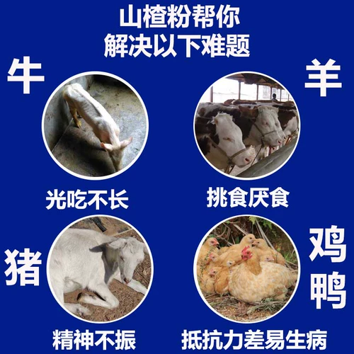 Зверь Цзяньвей Ниу Цзянь Жид желудок