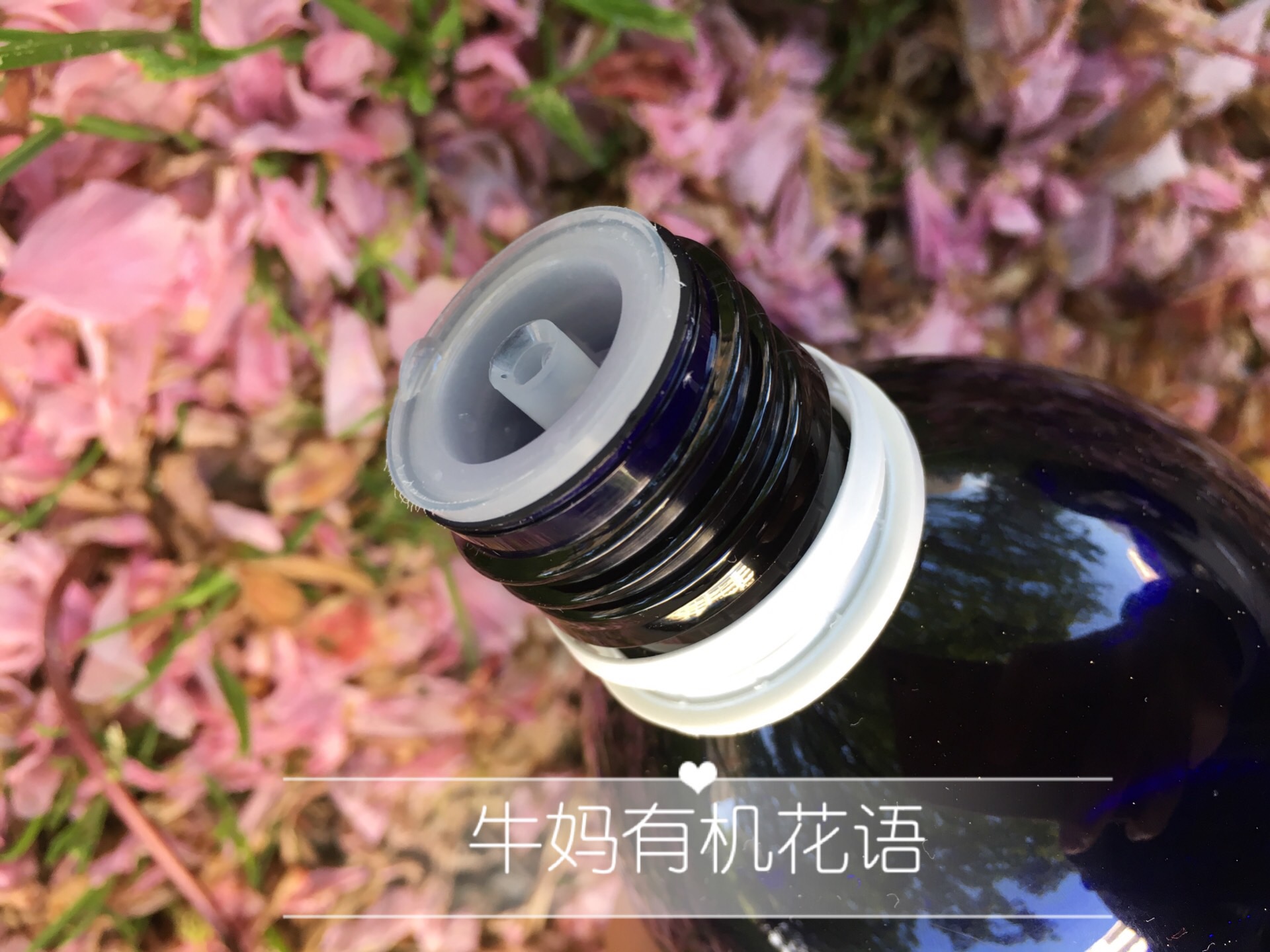 有机植物 Oshadhi 亮白补水 500ml 家保加利亚玫瑰纯露 O 现货德国原版 有机植物 Oshadhi 亮白补水 500ml 家保加利亚玫瑰纯露 O 现货德国原版