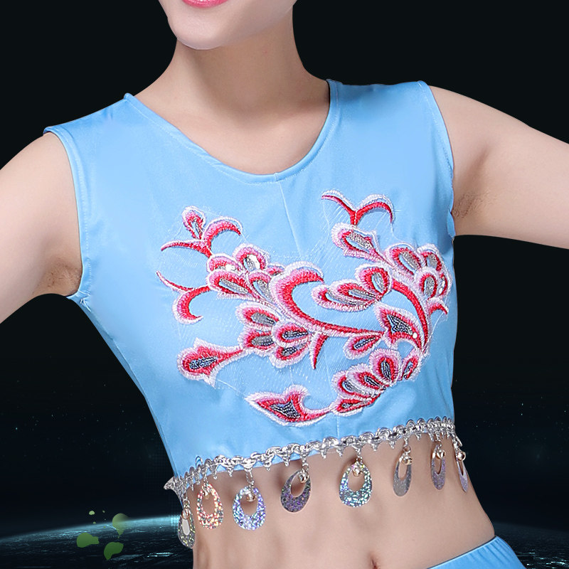 成人傣族舞蹈服装女艺考纱演出服 荷香艺梦民族服装/舞台装