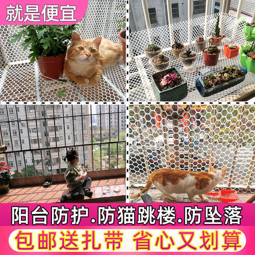 阳台防护网塑料网防掉东西窗户围网防盗窗垫板安全网防猫防坠封窗 - 图0