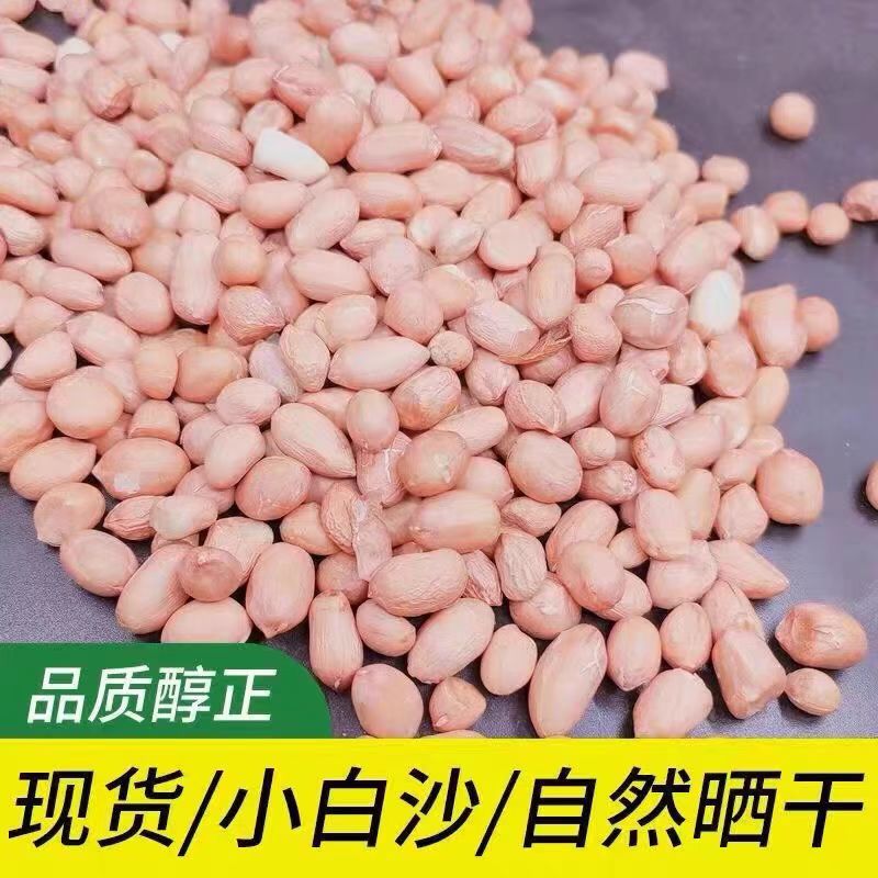 【新店开业】现剥新货特价精选无壳白沙花生米花生新鲜粉皮冲量 - 图1