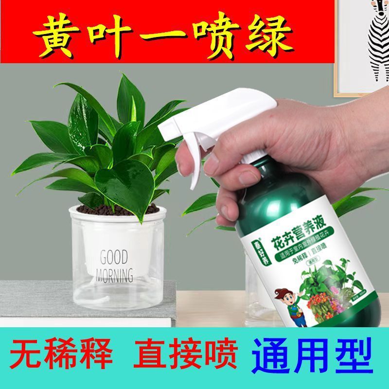 一喷绿通用型花肥黄叶变绿营养液家用植物直接喷免稀释花卉叶面肥