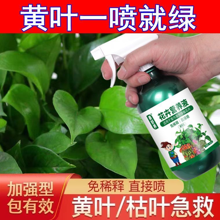 一喷绿通用型花肥黄叶变绿营养液家用植物直接喷免稀释花卉叶面肥