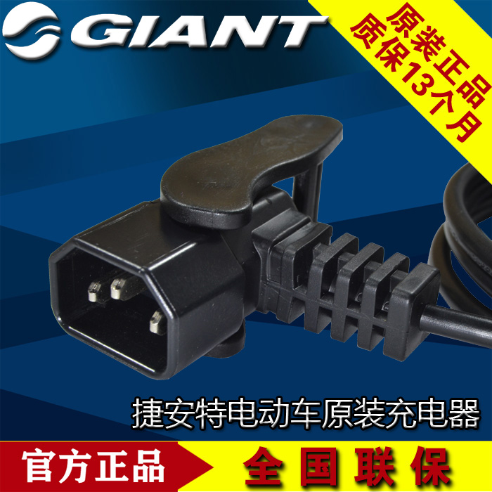 原装正品捷安特电动车充电器48V12Ah20/130133/126/325/323/326T-图3