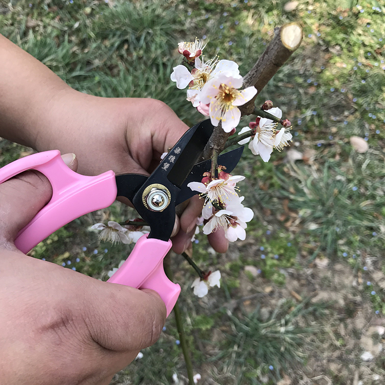 【德国】花剪插花修枝修花枝剪刀鲜花店专用剪丝带花艺剪刀园艺剪