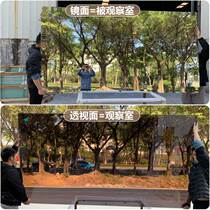One-way glass bifacial mirror Perspective recording studio unidirectional clairvoyatory glass single-sided visible light transmission single-sided glass mirror
