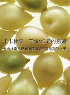 澳洲澳芝曼金装卡卡杜李