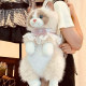 Internet celebrity simulation backpack cat ສໍາລັບເດັກຍິງເດີນທາງນອກ backpack ຖົງ kitten ງາມສໍາລັບເດັກນ້ອຍຂອງຂວັນວັນເກີດ