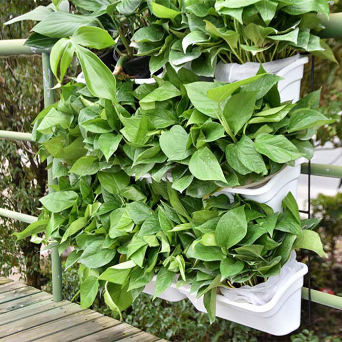 阳台护栏花架悬挂花盆种菜挂架挂壁式多层组合长方形栏杆种植组合,淘宝优惠券,粉丝福利购,淘宝优惠卷