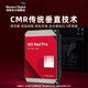 Western Digital mechanical hard drive 12T red disk PRONAS