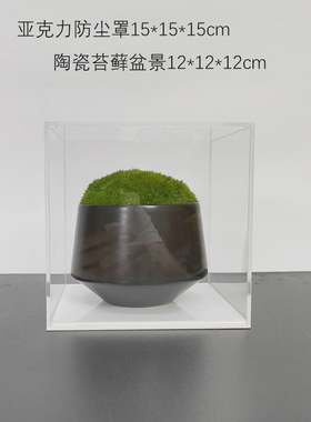 简约现代亚克力仿真花艺装饰摆件