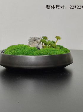 冠群家居永生苔藓装饰摆件