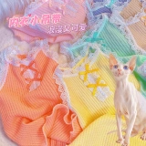 Y · H Чистое желание нижнее белье маленькая хлопчатобу