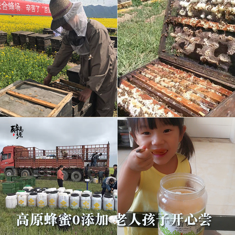 百里花海2500克青海高原天然成熟门源油菜花蜂蜜大桶农家土结晶蜜