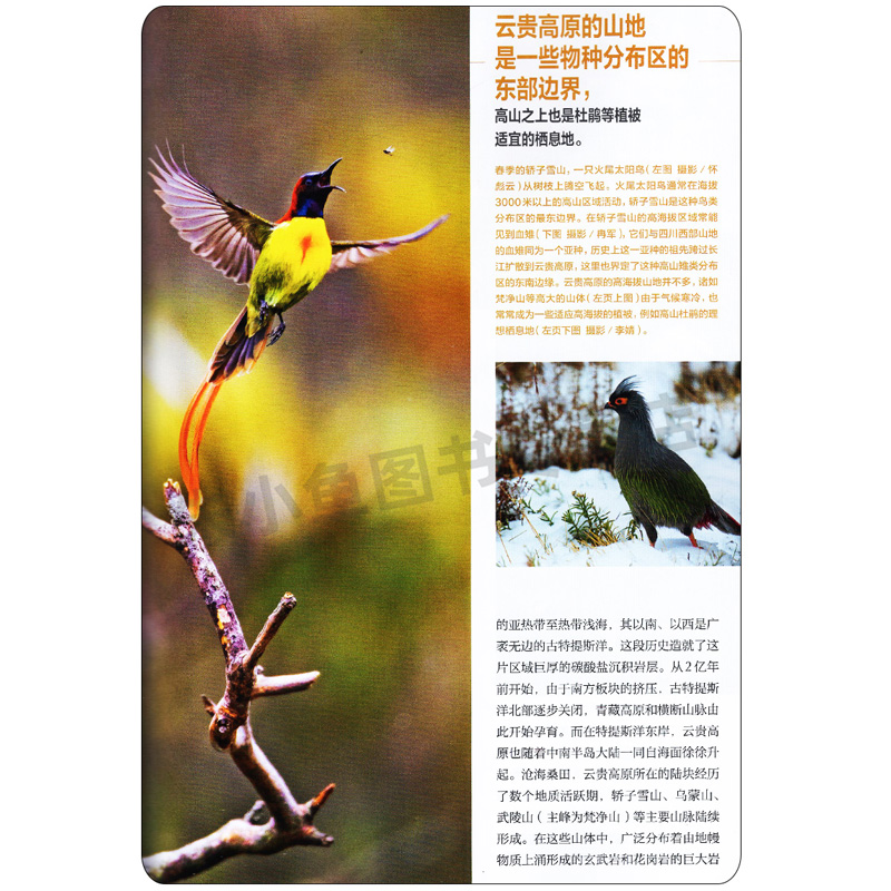 送帆布袋/地图2张/明细片【中国国家地理杂志全年典藏礼盒装】2024年1-12月 中国国家地理青春少年版科普百科2023过刊