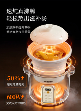 天际5L快速电炖锅新款神器3-4-5L
