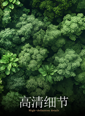 氧气森林绿色清新高品质装饰画