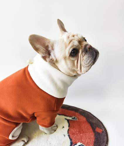 Goodnight晚安法斗巴哥恶霸宠物衣服法斗衣服保暖加厚定制四脚衣 - 图2