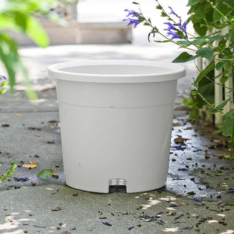 虹越嘉伯瑞米卡控根透气百合种植花盆大号加厚月季绣球阳台加仑盆,淘宝优惠券,粉丝福利购,淘宝优惠卷