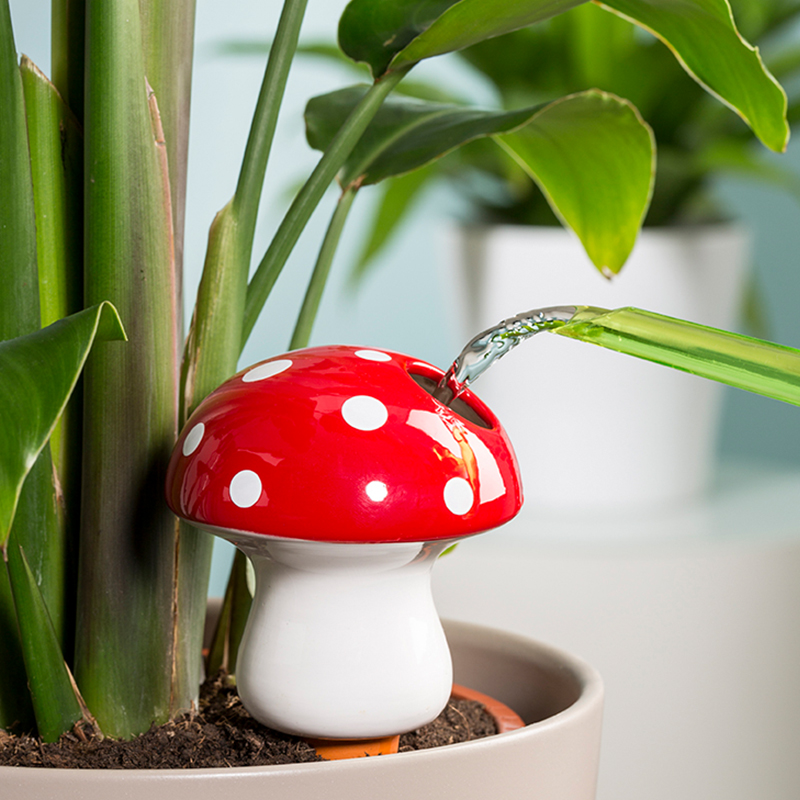 虹越大容量自动浇水器小鸟滴水器家用浇花神器懒人花草滴灌设备 - 图2