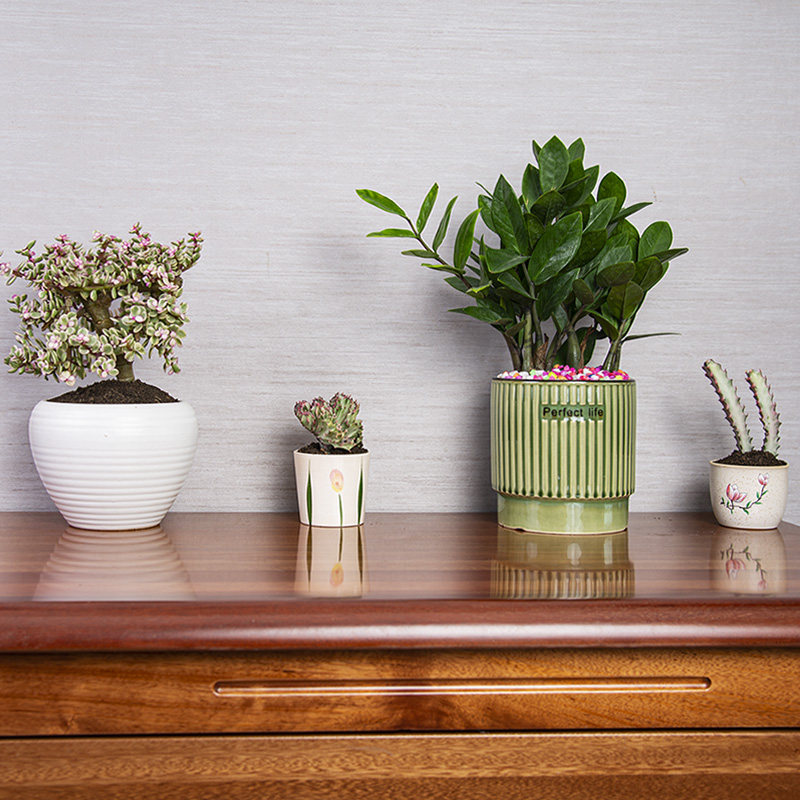 虹越年禾蚯蚓粪有机肥5kg养花肥料通用月季肥种菜花卉家用有机肥,淘宝优惠券,粉丝福利购,淘宝优惠卷