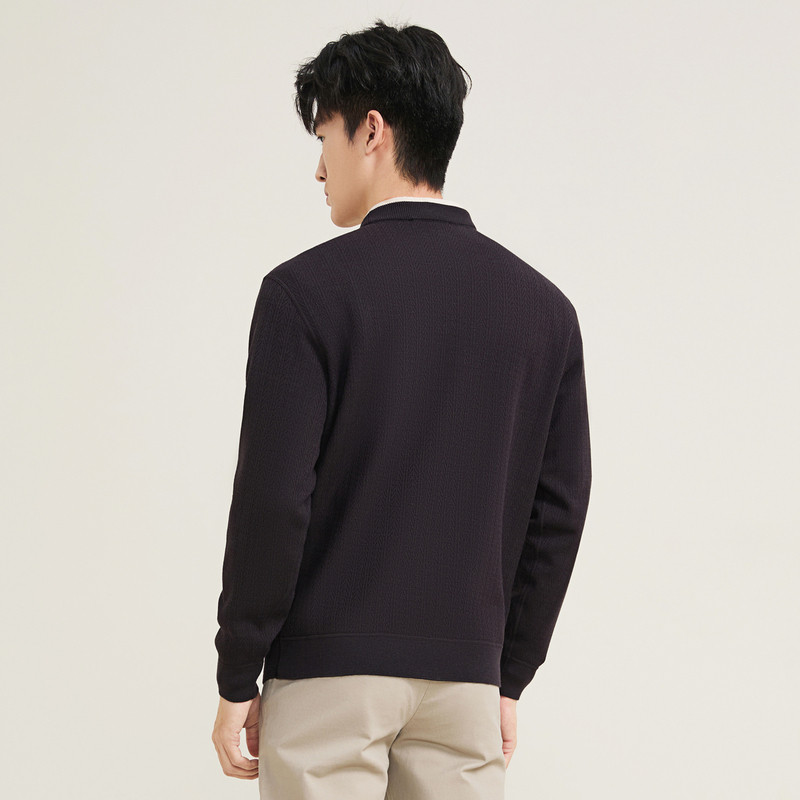 【含羊毛】柒牌加绒针织衫2025冬季新款男士圆领时尚提花保暖毛衣,淘宝优惠券,粉丝福利购,淘宝优惠卷