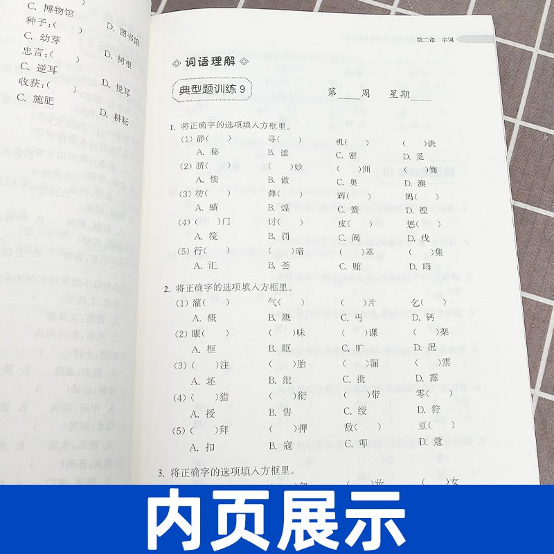 正版现货周计划小学语文基础知识强化训练 六年级/6年级+小升初同步教材小学语文课外复习辅导试题测试训练学习资料习题练习册 - 图1