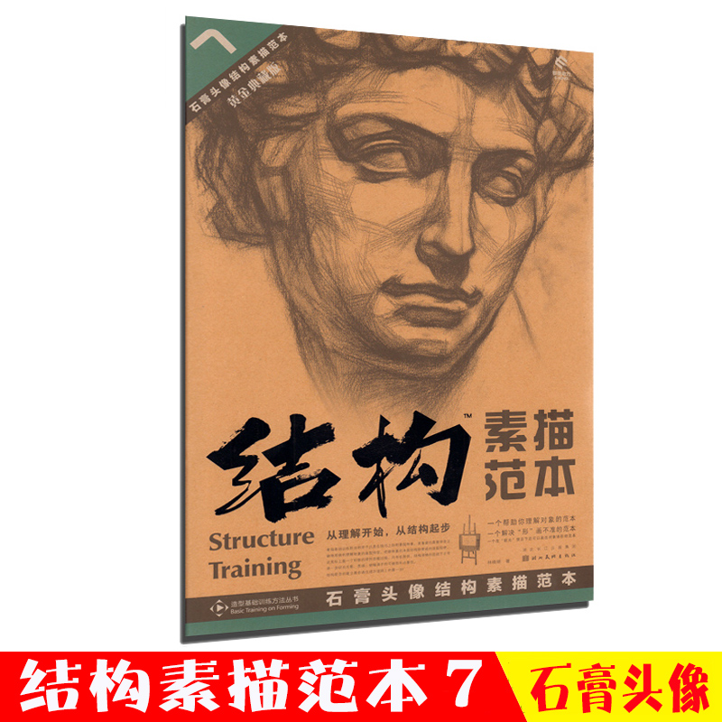 结构素描范本7石膏头像黄金典藏版 美术绘画书籍技法结构联考校考临摹范本画初学入门教学教程教材素描速写书入门基础 - 图2