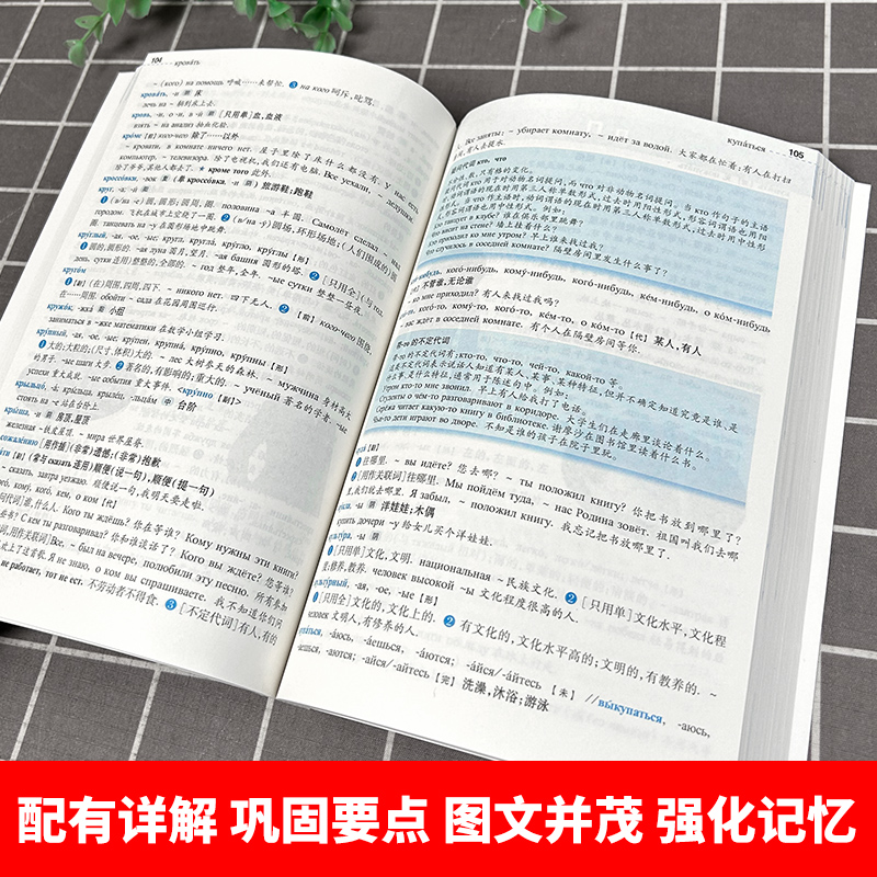 俄语高考词汇轻松记第二版2版俄罗斯语高考用书外语学习俄语教程轻松记单词词汇学习日常用语上海外语教育出版社-图3