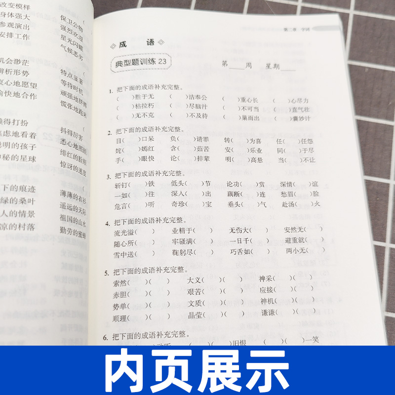 周计划小学语文基础知识强化训练五年级 5年级同步语文教材课外复习辅导试题测试专项训练习题练习册书籍华东理工大学出版社-图1