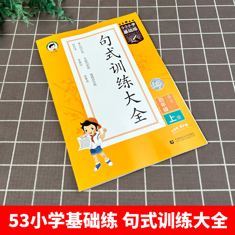 2024新版53小学基础练句式训练大全小学语文一二三四五六年级组词造句仿写句子专项训练写53天天练句式训练大全优美句子积累
