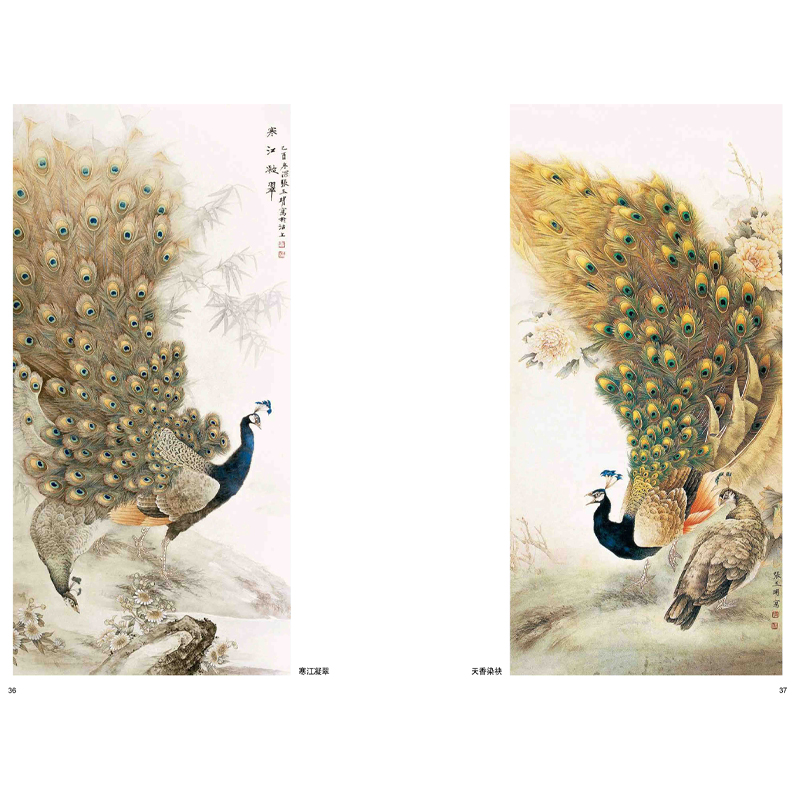 正版孔雀技法画集大师国画范本张玉明张毅国画孔雀技法与赏析孔雀画法入门教学绘制基础入门步骤基础画谱临摹天津杨柳青-图1