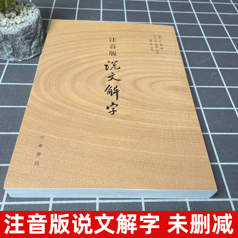 注音版说文解字中华书局许慎著正版附音序笔画检字部首检子表字画检字表字形分析字源语言文字话说汉字原版注全版-图0