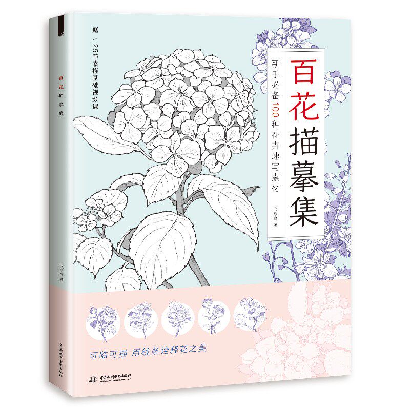 线描花素材 新人首单立减十元 22年1月 淘宝海外