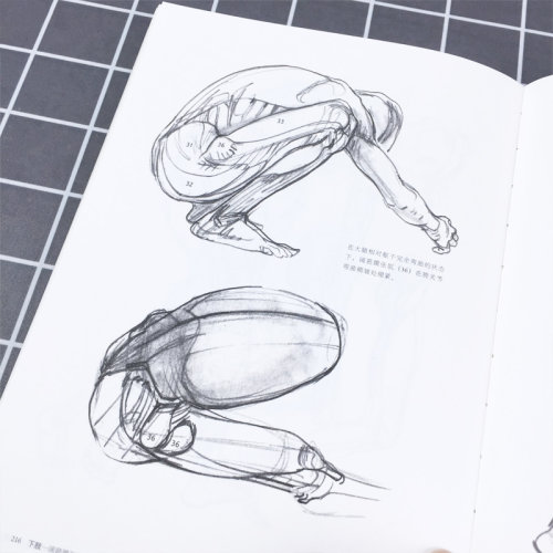 理解人体形态 美院实用素描解剖书 人体结构教程人体素描速写教程实用人像标准艺用速写 零基础美术入门自学绘画书籍正版后浪 - 图2