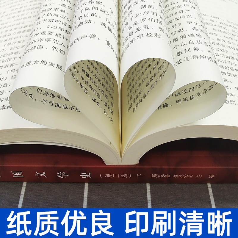 外国文学史第四版第4版郑克鲁上下册高等教育出版社大学外国文学史教材欧美文学中世纪文学文化历史发展历程文学理论考研用书-图3