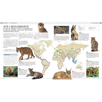 DK Cat Encyclopedia ບໍລິສັດອັງກິດ DK Cat Raising Cat Reference Book Cat Raising Encyclopedia Book Pet Cat ປຶ້ມວິທະຍາສາດການໃຫ້ອາຫານແມວ ປື້ມປ້ອງກັນພະຍາດທົ່ວໄປ ປື້ມຄູ່ມືການລ້ຽງແມວ ປື້ມຄູ່ມືການລ້ຽງແມວ