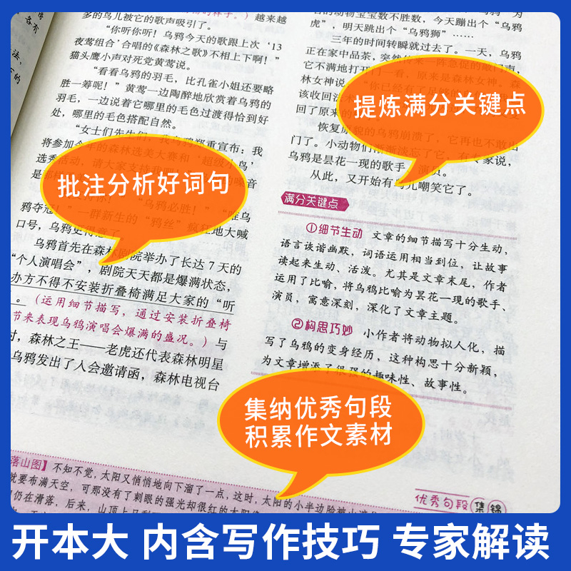 悦天下小学生满分作文1000篇三四五六年级语文作文辅导书写作技巧专项训练书小学生分类作文范文模板大全华中科技大学出版社-图2