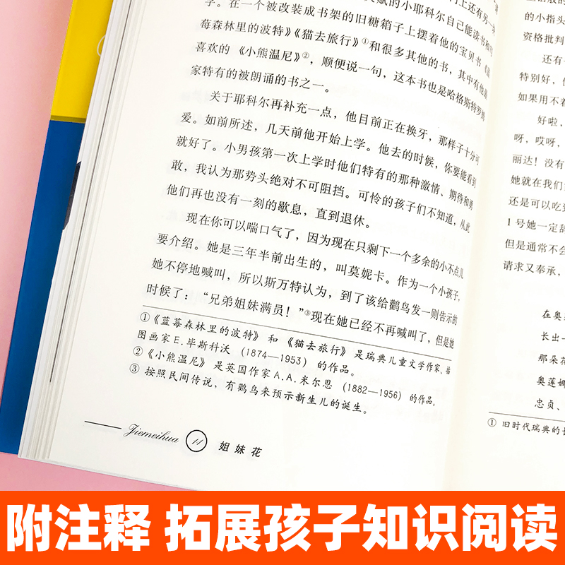 正版姐妹花书非注音版小学生三四年级课外阅读书籍阅读阅读书目儿童文学作品林格伦作品集美绘版童书