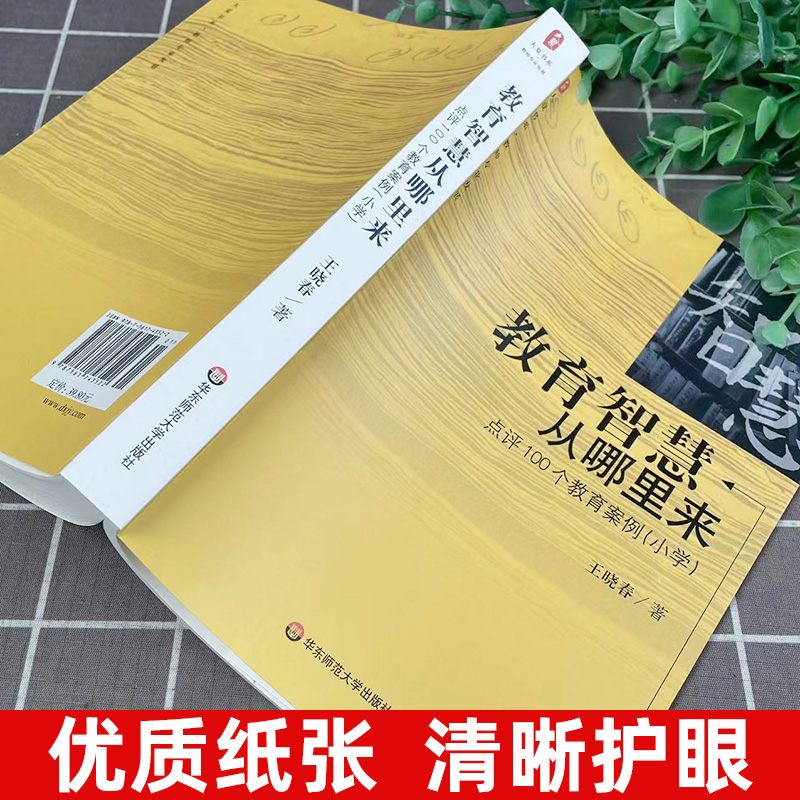 官方正版 教育智慧从哪里来(点评100个教育案例小学)大夏书系 王晓春 著 教师指导用书 小学教师专业发展读物 华东师范大学出版社 - 图2