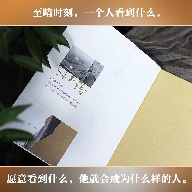 第十一届茅盾文学奖获奖作品 千里江山图 孙甘露长篇新作 美学叙事当代小说蕞险峻的风光隐秘而伟大的历史事件故事 上海文艺出版社 - 图2