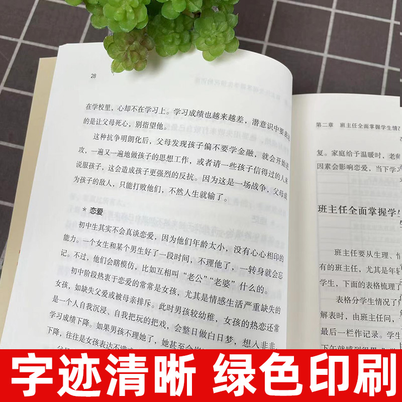 班主任学生管理训练手册 陈默著作做不再瞎忙的班主任实战指导手册上海教育出版社另著家有幼儿家有小学生给烦恼父母的实用秘籍