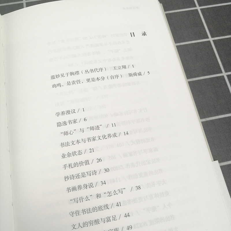 正版现货 书法的底线 斯舜威 上海书画出版社 海上题襟 艺术理论研究书籍 名家佳作艺术书籍 精品书法文化丛书 - 图2